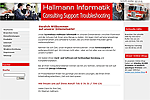 Bild Webseite Hallmann Informatik