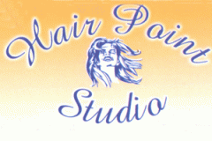 Logo Hair Point Studio