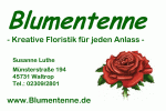 Bild Blumentenne