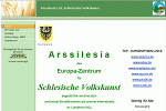 Bild Webseite Arssilesia Ltd.