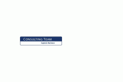 Logo Consulting Team GmbH