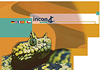 Bild incon medical
