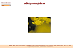 Bild webdesign-meine-farben.de